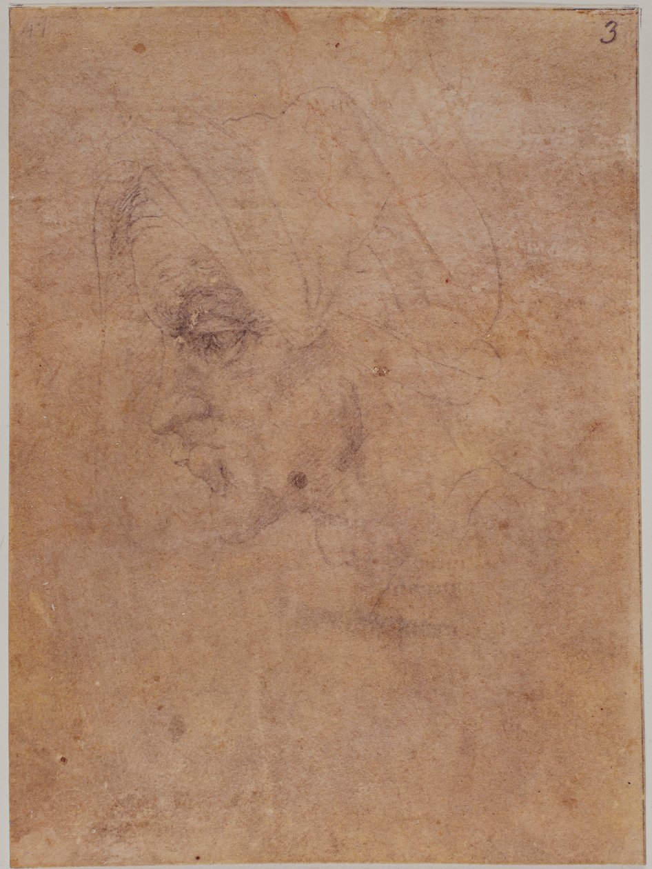 Profil staré ženy od Michelangelo Buonarroti