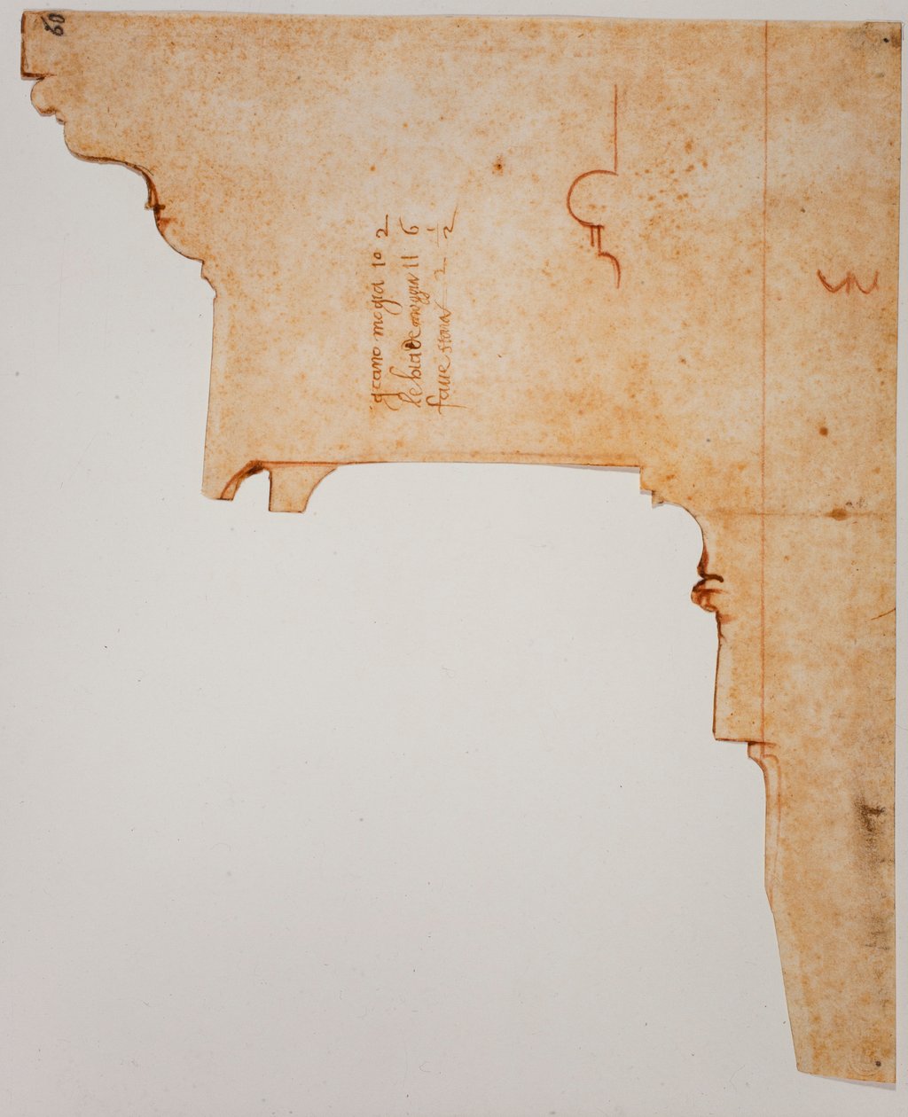 Profil entablatury od Michelangelo Buonarroti