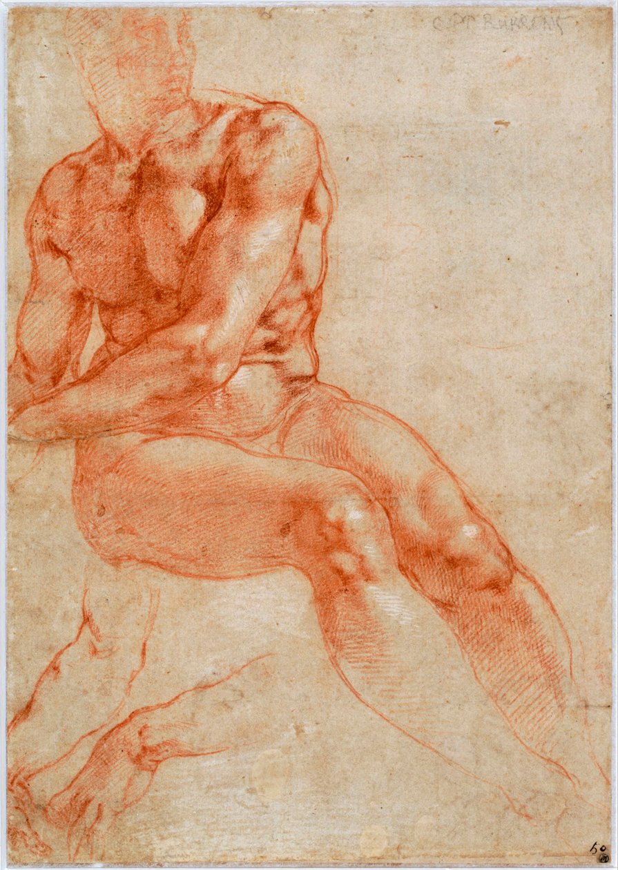 Studie sedícího mladého muže nahá a dvě paže, cca 1510-1511 od Michelangelo Buonarroti