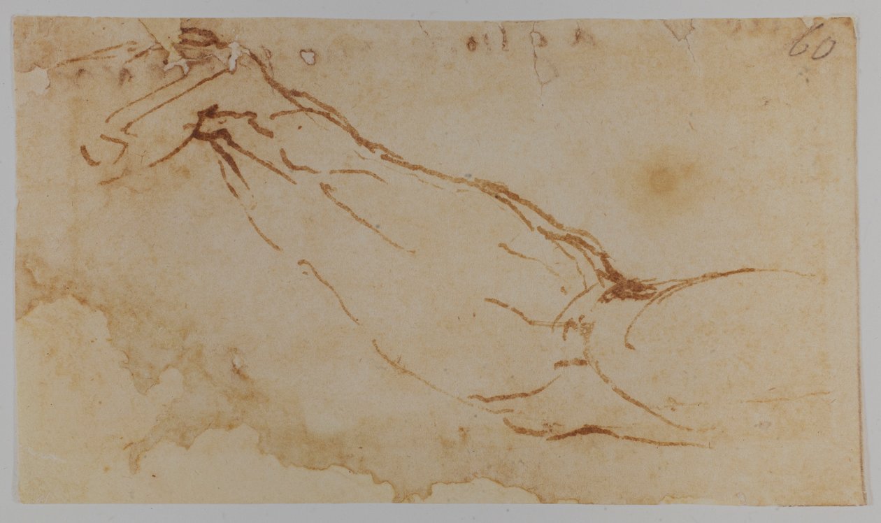 Náčrt pravé ruky "Lédy", 1528-1530 (kresba) od Michelangelo Buonarroti