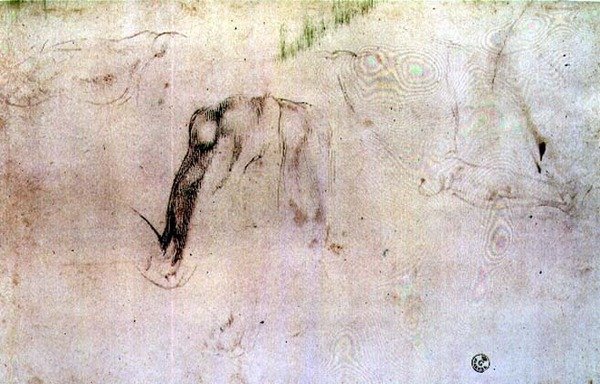 Náčrt nohou (uhl na papíře) od Michelangelo Buonarroti