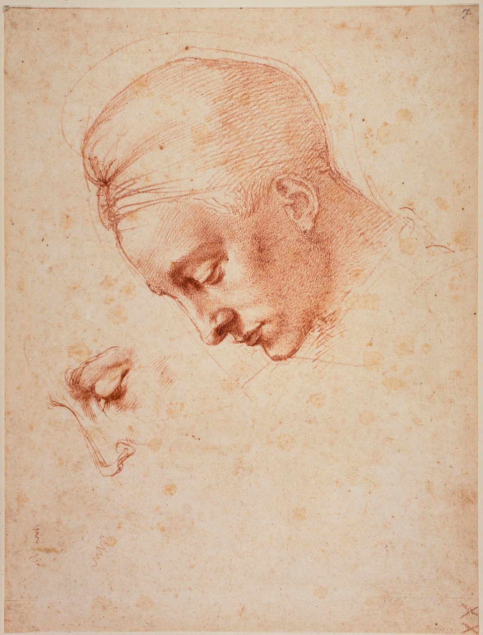 Studie pro hlavu "Ledy od Michelangelo Buonarroti