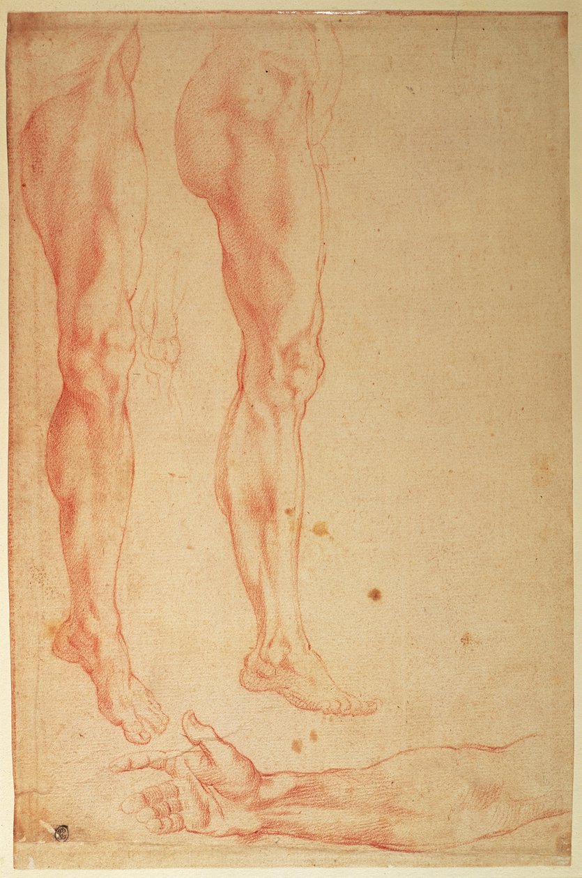 Studie nohou a paží (červená křída na papíře) od Michelangelo Buonarroti
