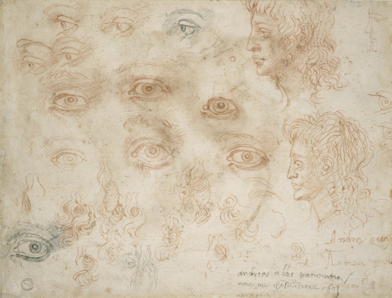 Studie dvou hlav, c.1525 (křída na papíře) od Michelangelo Buonarroti