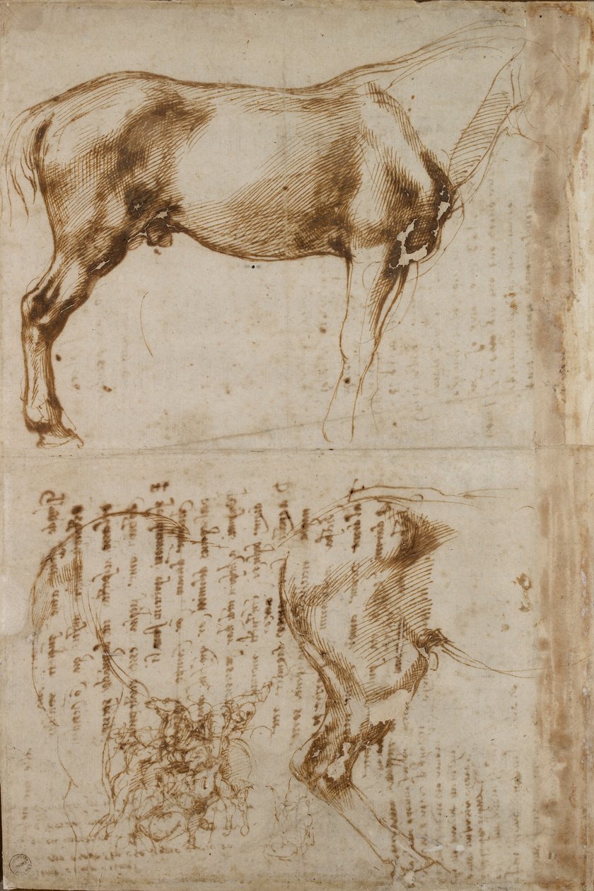 Studie koně a jezdce útočícího na pěšáky, počátek 16. století od Michelangelo Buonarroti