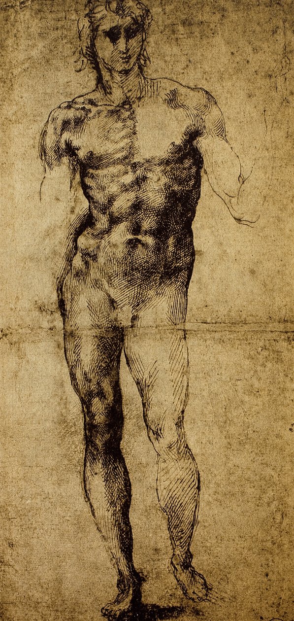 Studie pro mužský akt, Michelangelo Buonarroti (1475-1564), kresba, Paříž, muzeum Louvre od Michelangelo Buonarroti