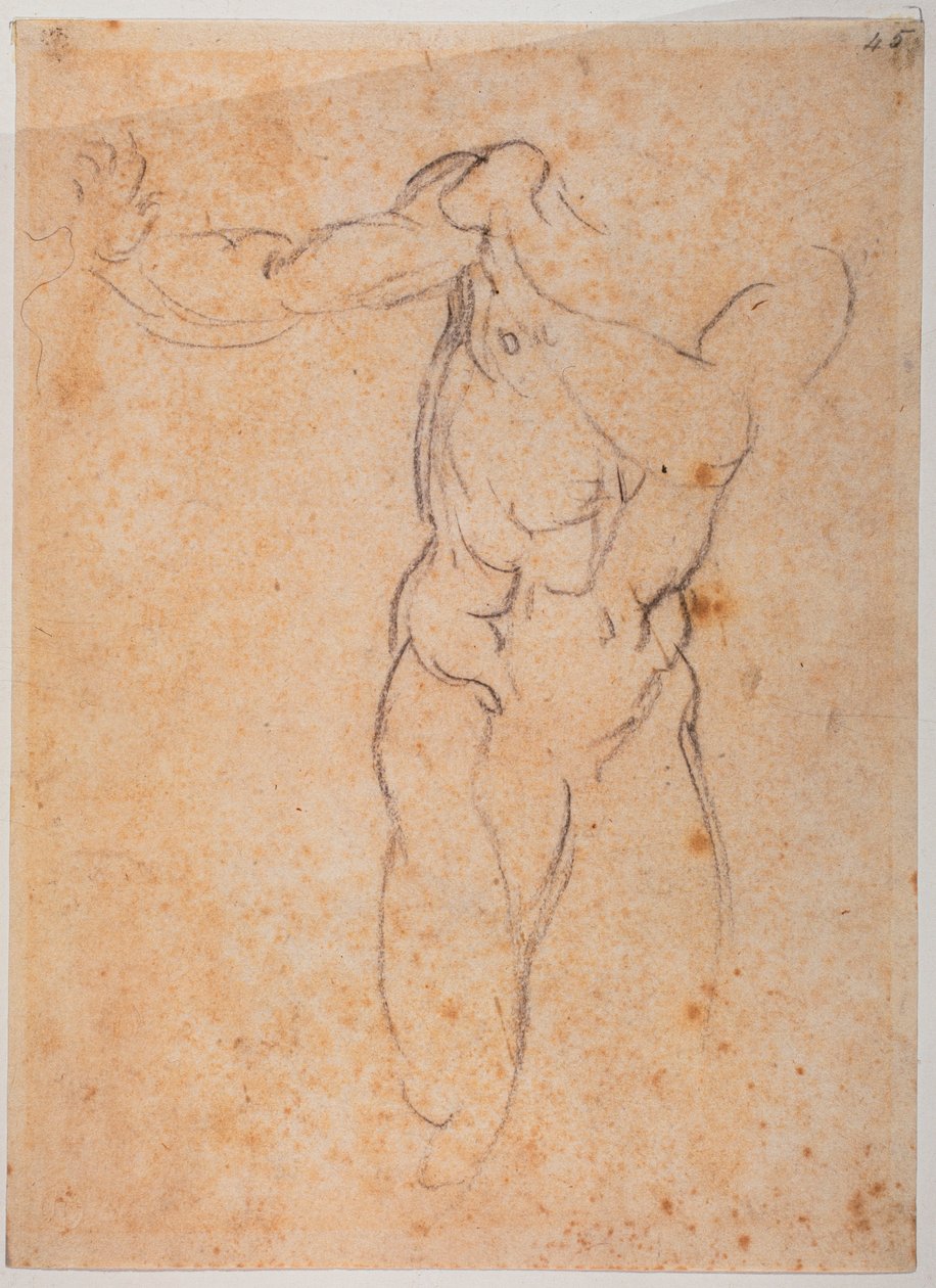 Studie k obrazu Vyhnání z Pardisu v Sixtinské kapli od Michelangelo Buonarroti