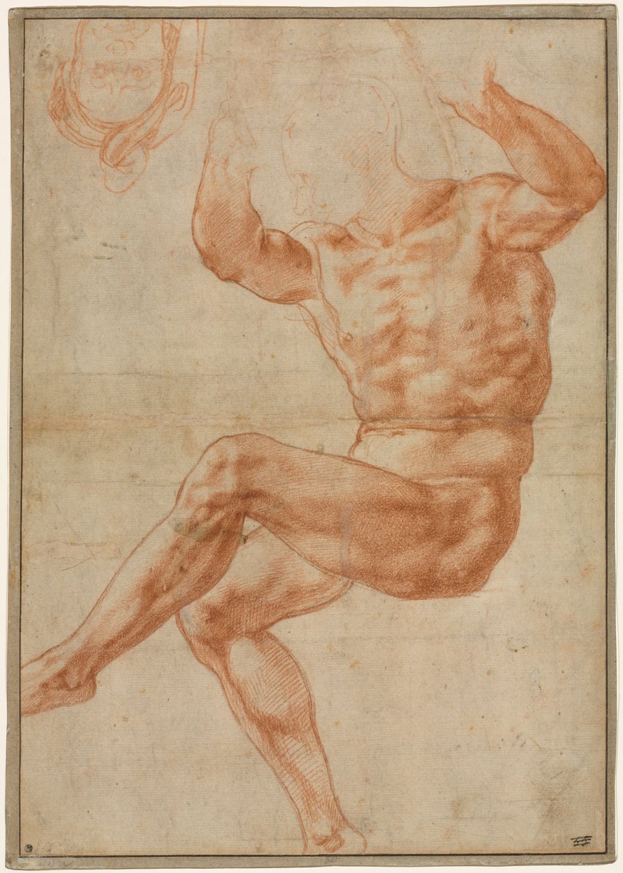 Studie pro nahé mládí proroka Daniela (recto) od Michelangelo Buonarroti