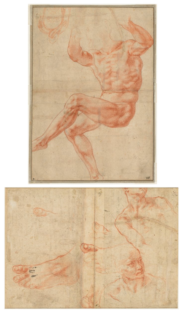 Studie pro nahou mládež nad prorokem Danielem (recto); Figurální studie pro Sixtinský strop (verze) od Michelangelo Buonarroti
