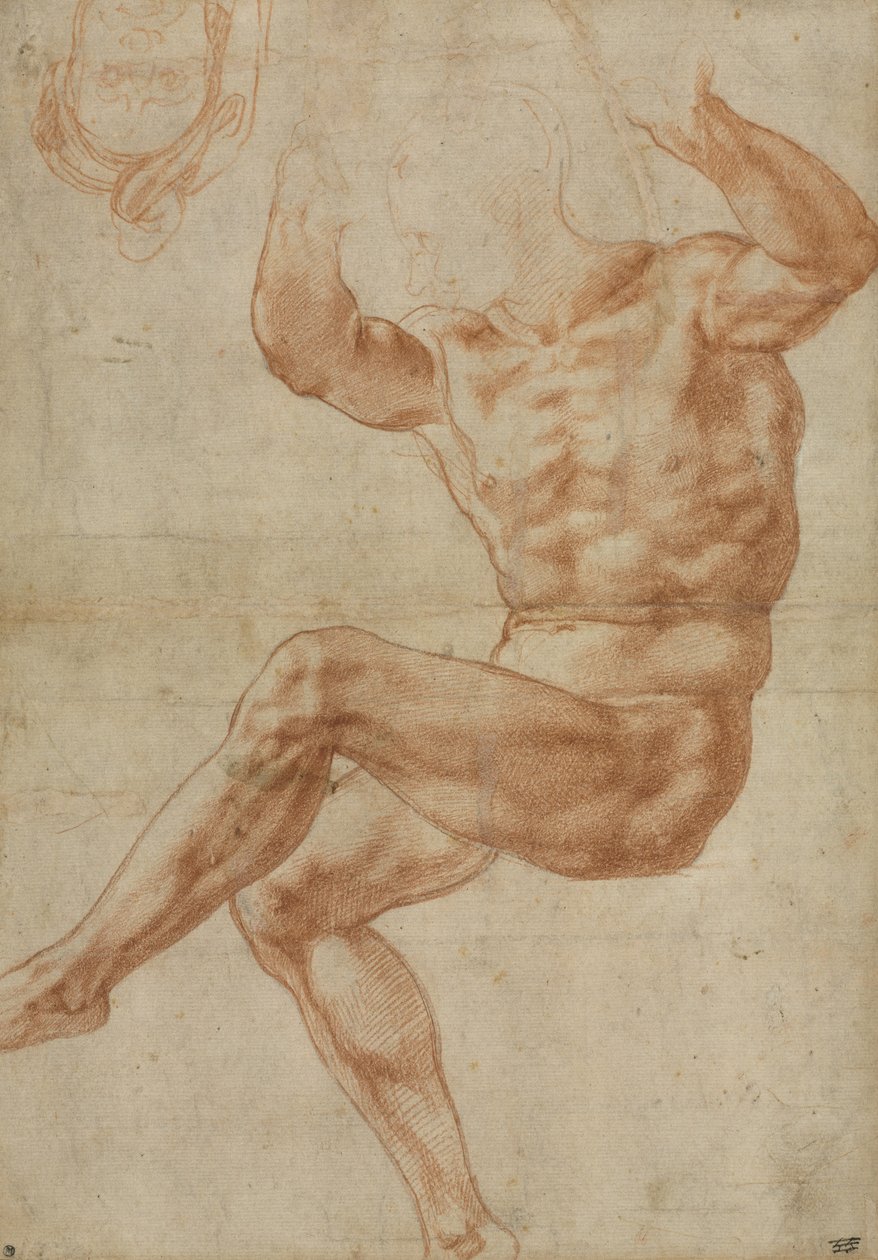 Studie pro nahé mládí nad prorokem Danielem, pro Sixtinský strop, 1510-11 od Michelangelo Buonarroti
