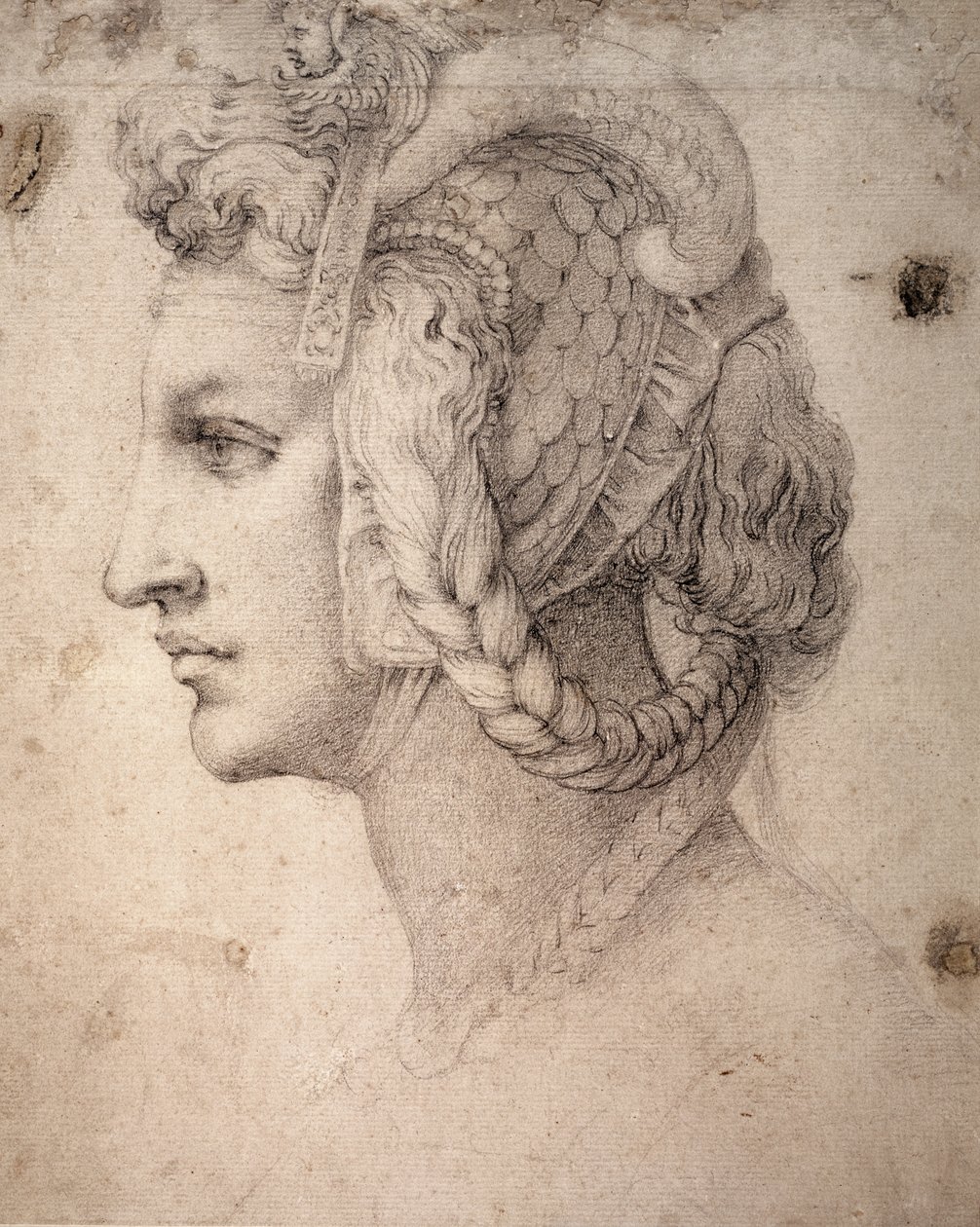 Studium hlavy od Michelangelo Buonarroti