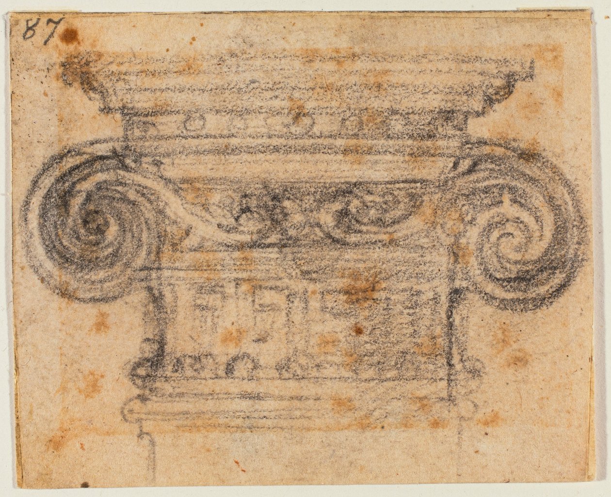 Studium iontového kapitálu od Michelangelo Buonarroti