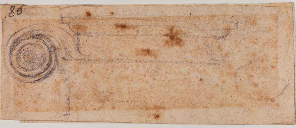 Studium iontového kapitálu od Michelangelo Buonarroti