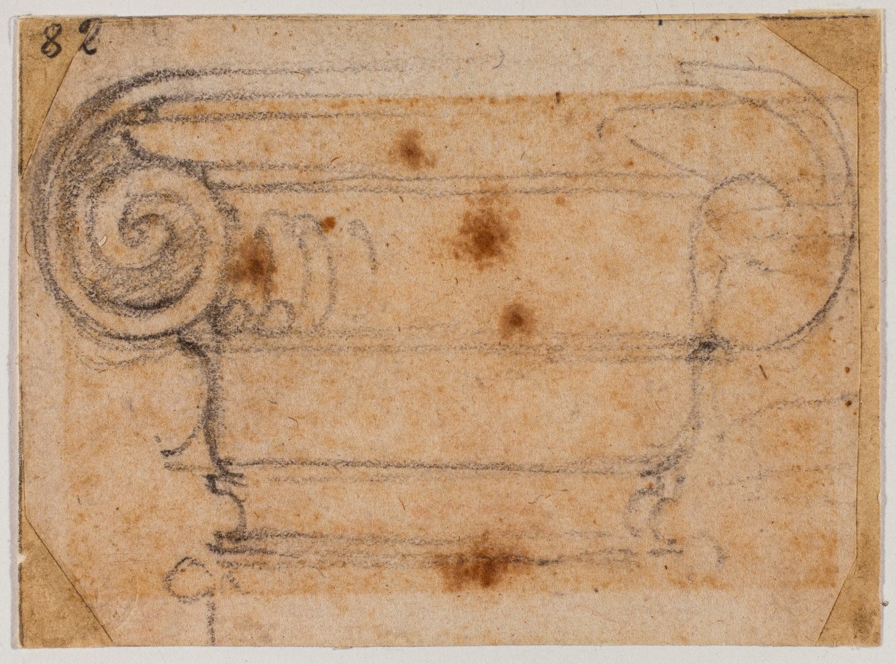 Studium iontového kapitálu od Michelangelo Buonarroti