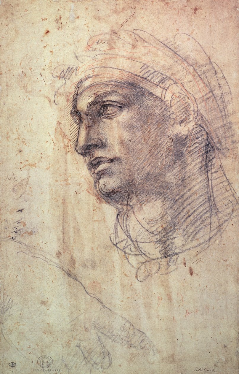 Studie hlavy (uhl na papíře) od Michelangelo Buonarroti