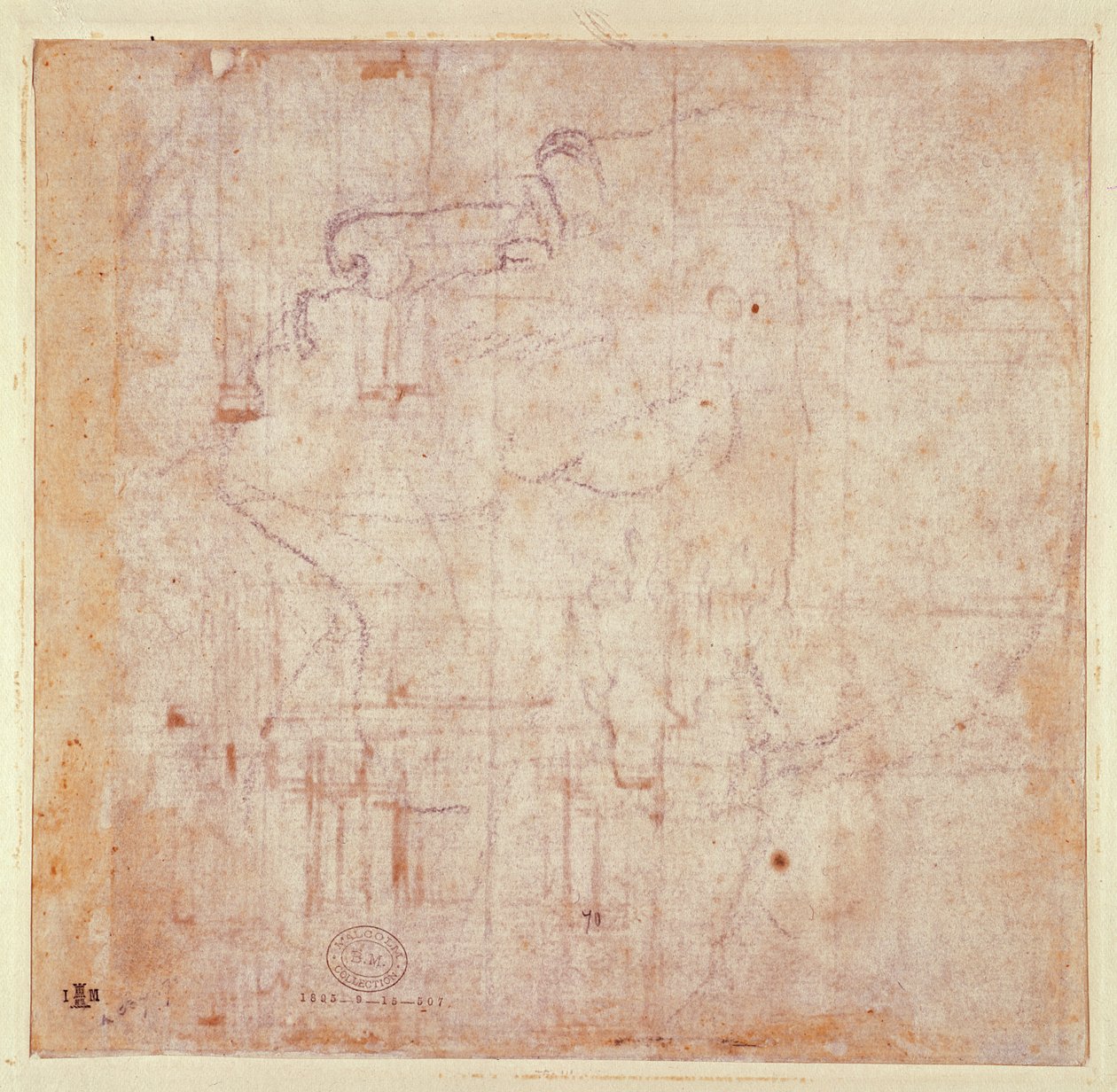 Study of a Head, 1525-26 (černá křída na papíře) (verso) (recto viz 191779) od Michelangelo Buonarroti
