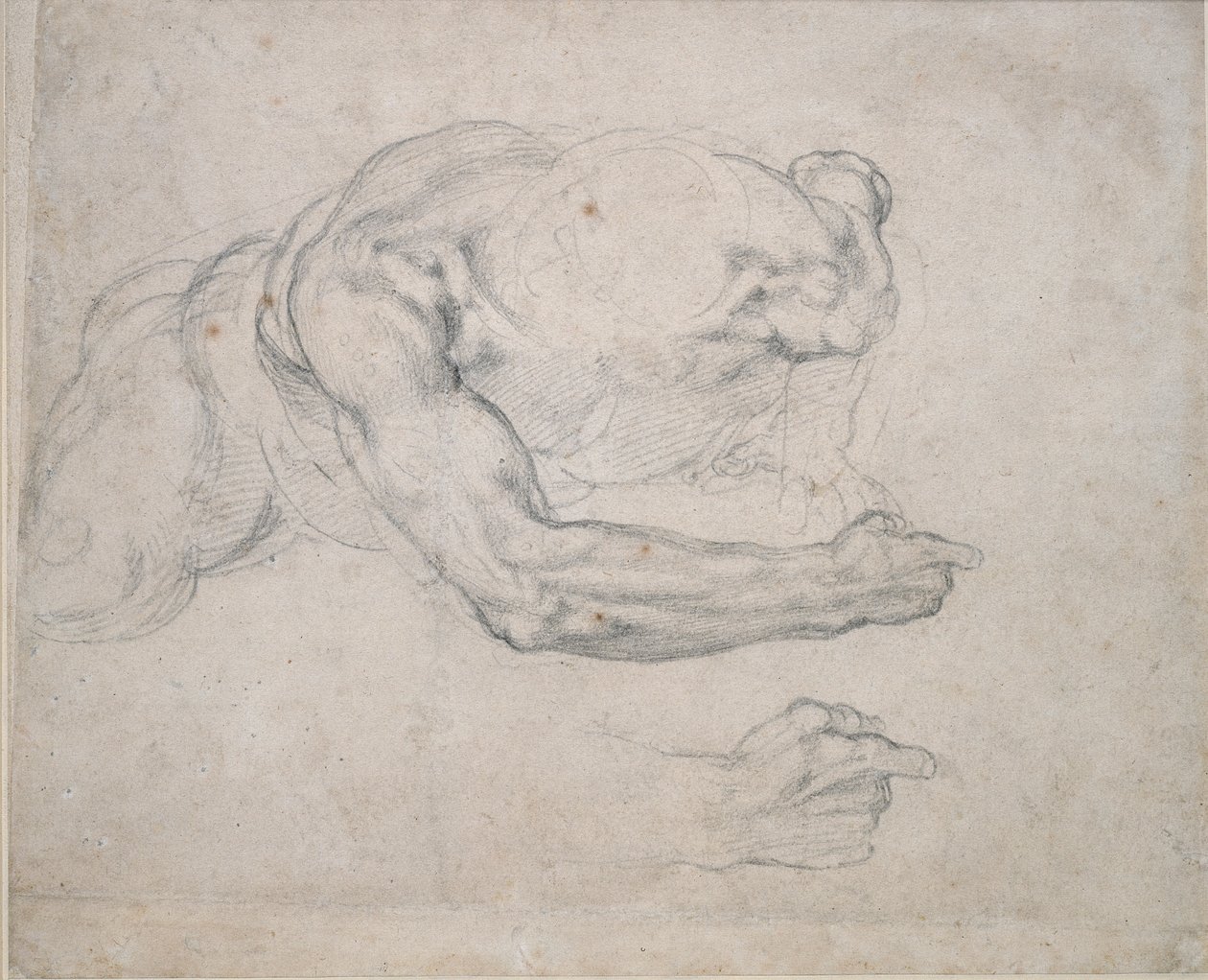 Studie muže vycházejícího ze země, 16. století od Michelangelo Buonarroti
