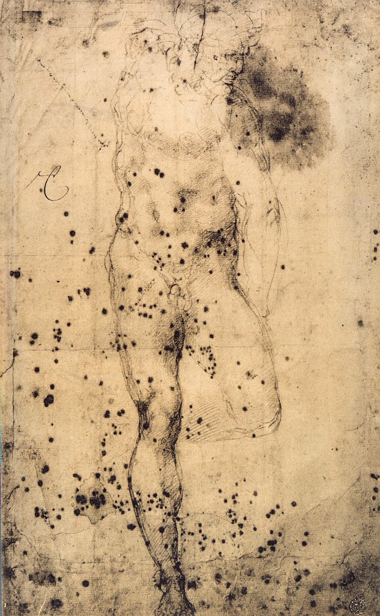 Studie mužského aktu se zdviženou levou nohou; kresba Michelangelo. Musee du Louvre, Paříž od Michelangelo Buonarroti