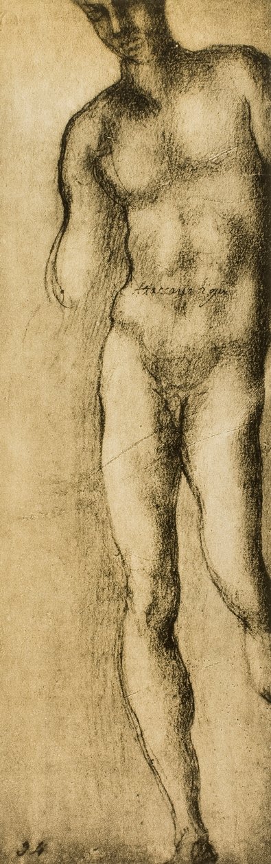 Studie mužské postavy, kresba Michelangelo. Casa Buonarroti, Florencie od Michelangelo Buonarroti