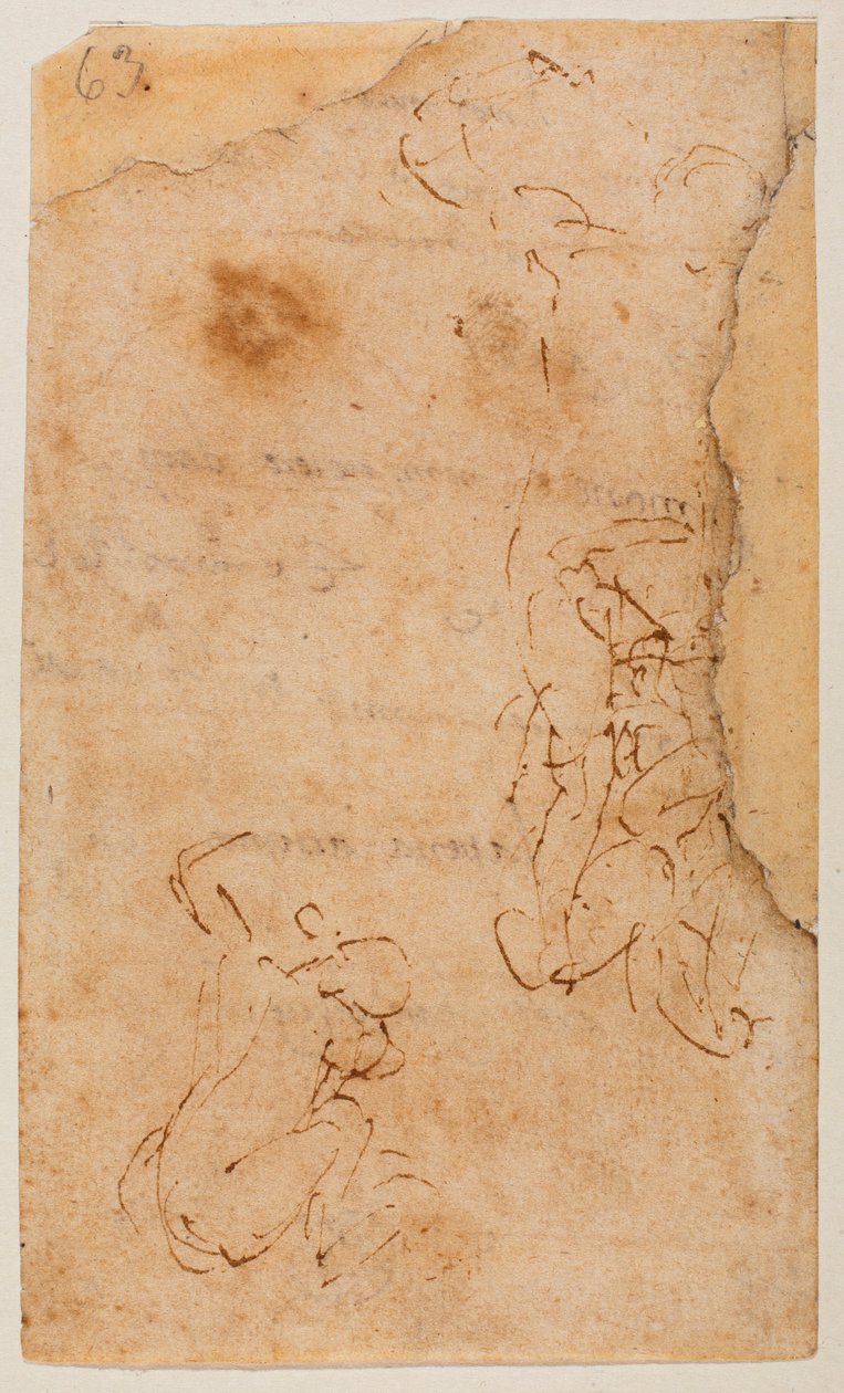 Studium čísel od Michelangelo Buonarroti