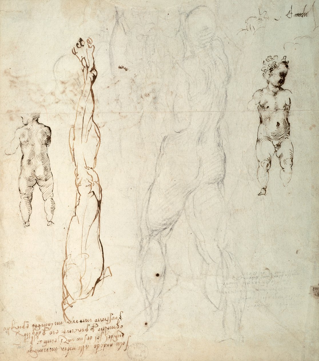Studie Ježíška a anatomická kresba s poznámkami (černá křída a hnědý inkoust na papíře) (verze) od Michelangelo Buonarroti