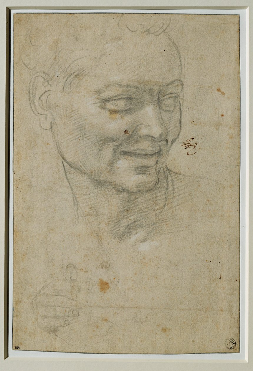 Hlava a pravá ruka ignuda nad Izaiášem a vlevo od něj, na klenbě Capella Sistina ... od Michelangelo Buonarroti
