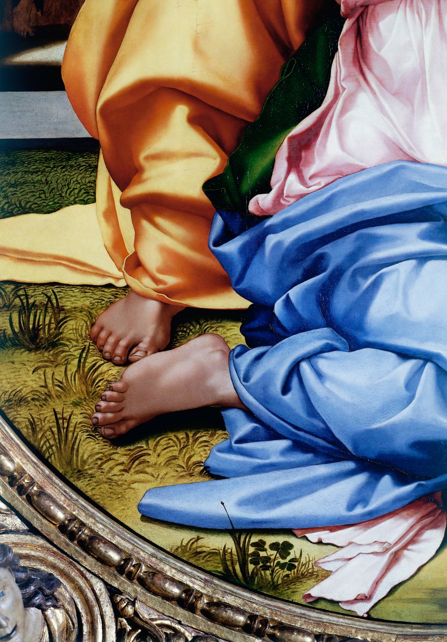 Svatá rodina nebo Tondo Doni, detail chodidel od Michelangelo Buonarroti