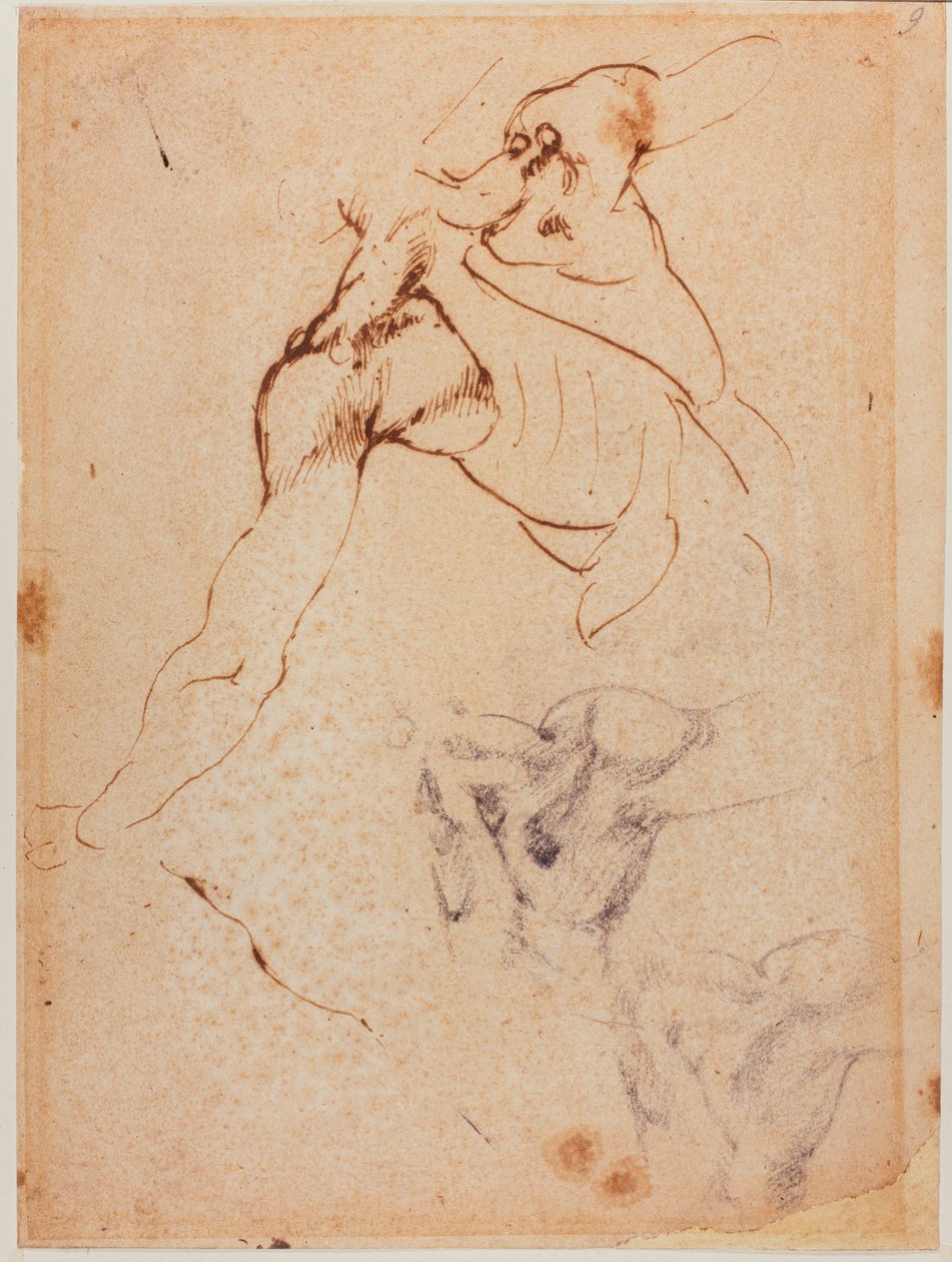 Studie torza pro "Bitvu u Casciny", 16. století (kresba) od Michelangelo Buonarroti