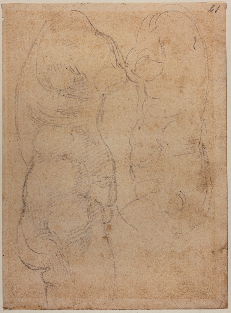 Dvě studie o starověké Venuši od Michelangelo Buonarroti
