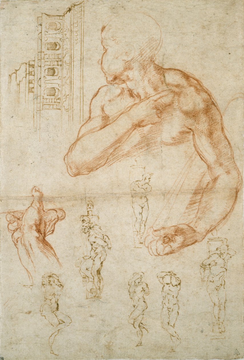 Různé studie pro Sixtinský strop a hrobku papeže Julia II., c1490-1560 od Michelangelo Buonarroti