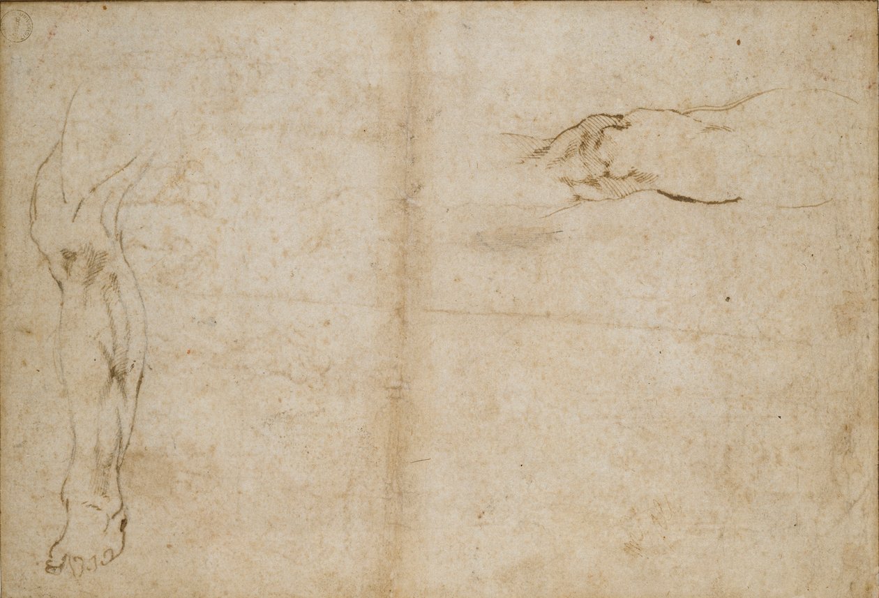 Verso: Studie mužské nohy, c1490-1560 od Michelangelo Buonarroti