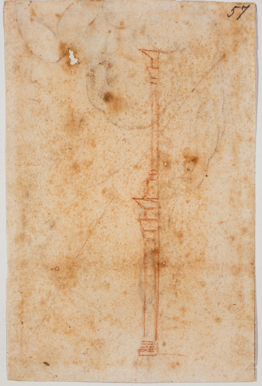 Profil stěny od Michelangelo Buonarroti