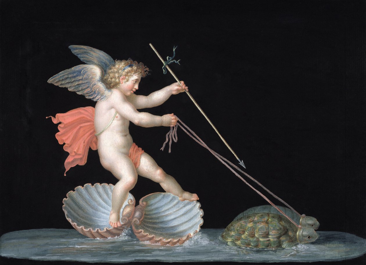 Amor vedený želvami (olej na panelu) od Michelangelo Maestri