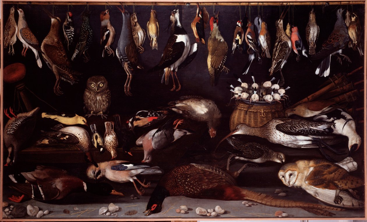 Zátiší s ptáky (pták) Malba připisovaná Michelangelovi Merisi dit Caravaggio (Caravaggio) (1571-1610) Řím Galleria Borghese od Michelangelo Merisi da (attr. to) Caravaggio