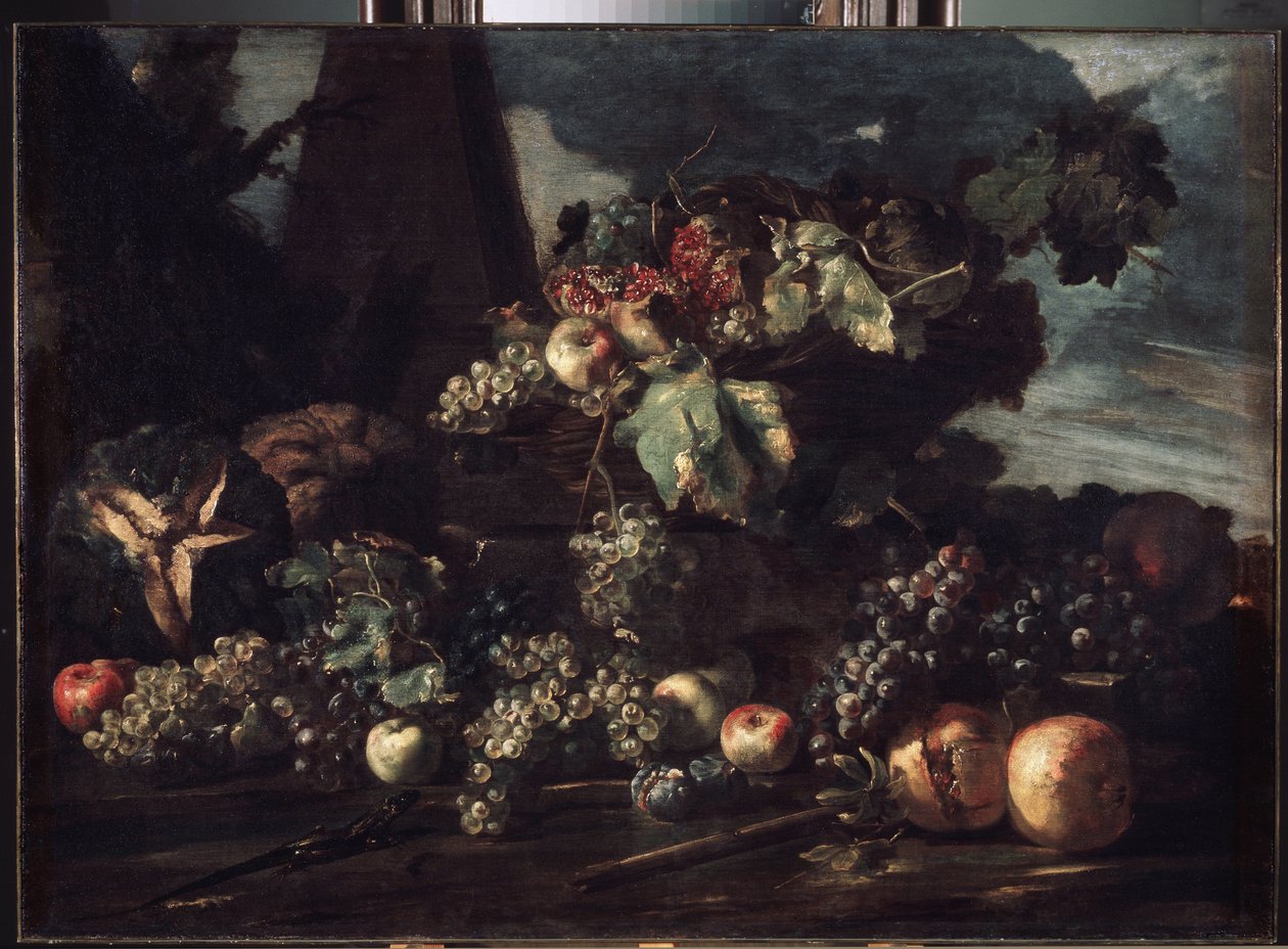 "Zátiší s hrozny" Malba Michelangela Pace da Campidoglio (1610-1670) 1650-1660 Rozměr 98x134 cm Muzeum Ermitáž, Petrohrad od Michele Pace del Campidoglio