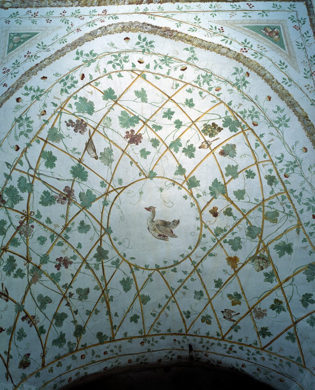 Pohled na klenbu sklepa, Villa Medicea di Careggi od Michelozzo di Bartolommeo