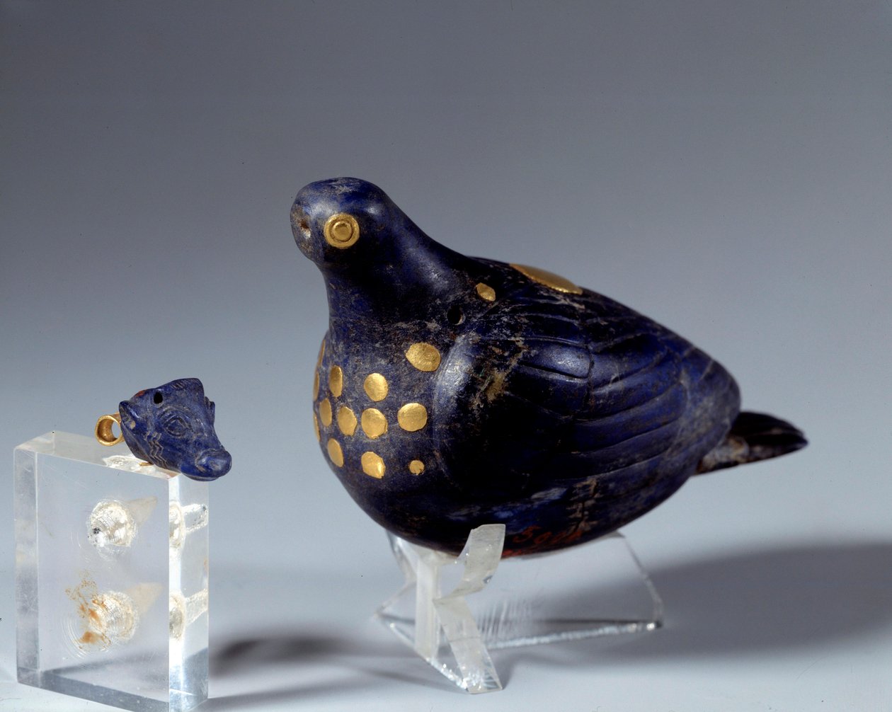 Východní antika: holubice v lapis lazuli (lapis lazuli) a zlatě. Z webu Susa. Medio-elamitské období (Írán). 1200 př.nl Paříž, muzeum Louvre od Middle Elamite Period
