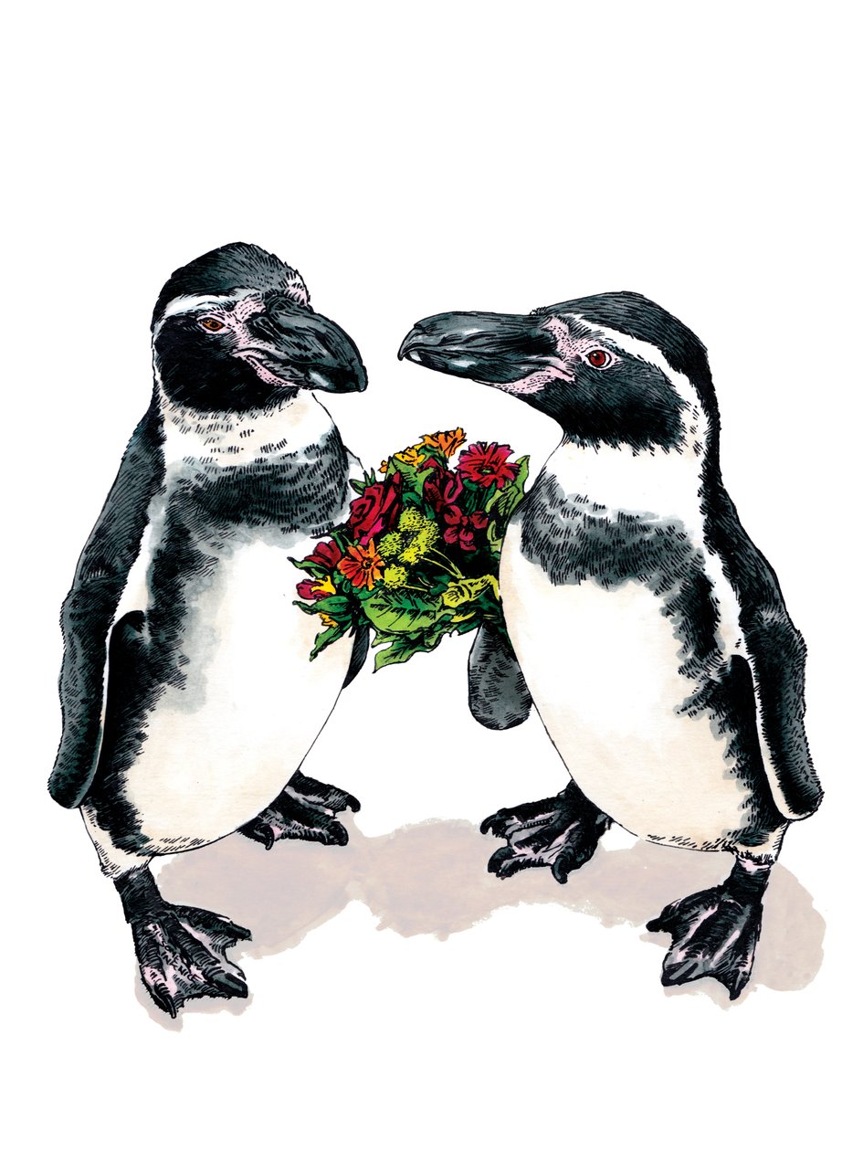 Výročí Penguins on White, 2020 od Mike Davis