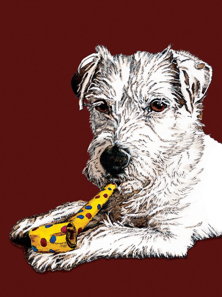 Narozeniny Parson Dog na Red Oxide, 2020 od Mike Davis