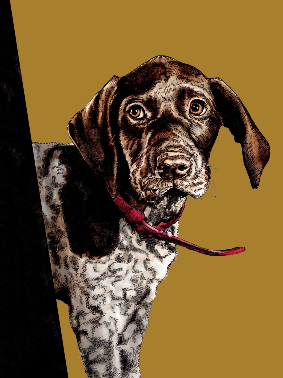Bye Bye Puppy na Golden Yellow, 2020 od Mike Davis