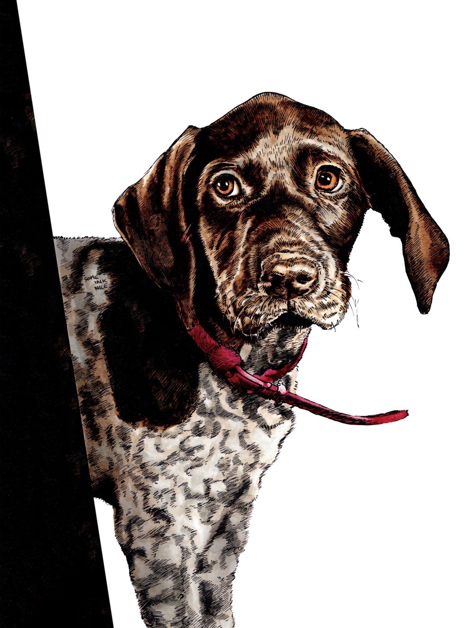 Bye Bye Puppy on White, 2020 od Mike Davis