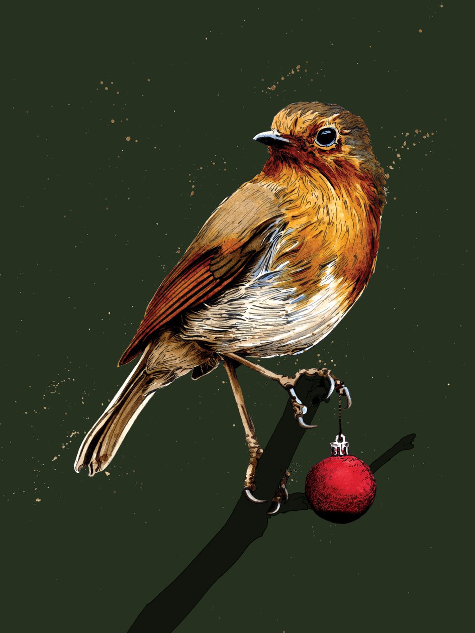 Vánoční Robin na Forest Green, 2020 od Mike Davis