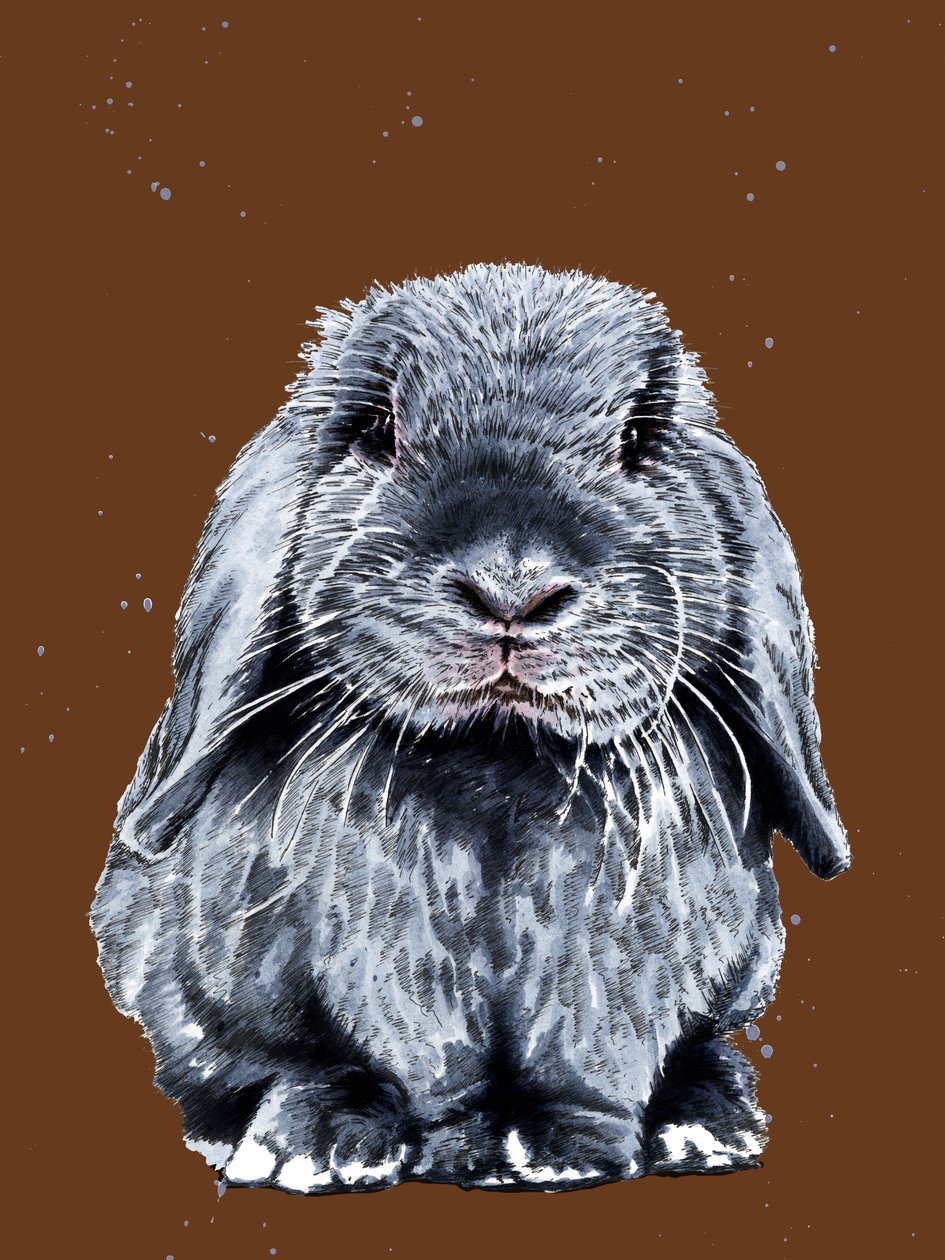 Gray One The Bunny on Burnt Orange, 2020 od Mike Davis