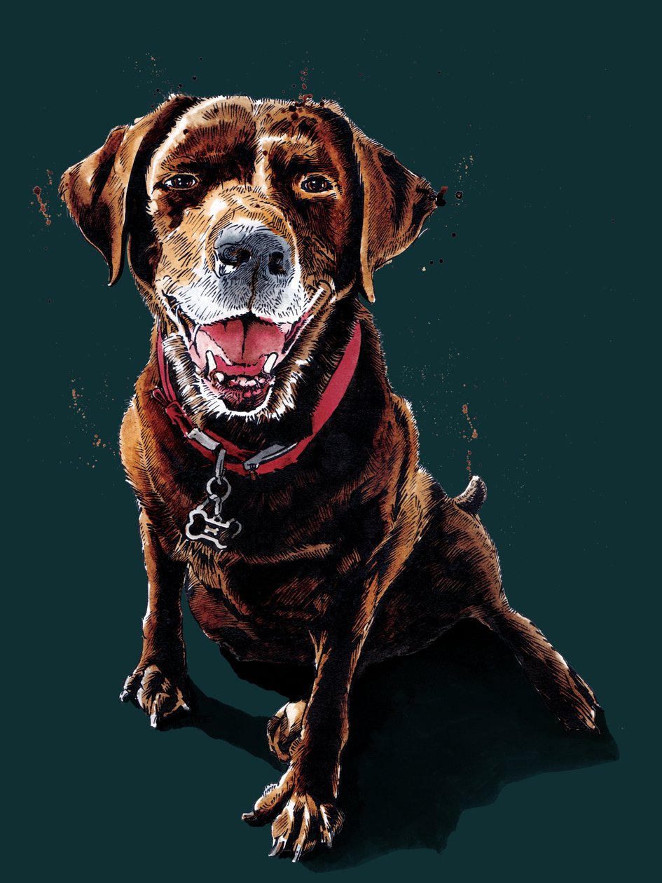 Nessa The ChocLab na Deep Cyan, 2020 od Mike Davis