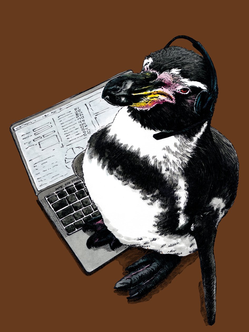 Nový Job Penguin na Burnt Orange, 2020 od Mike Davis