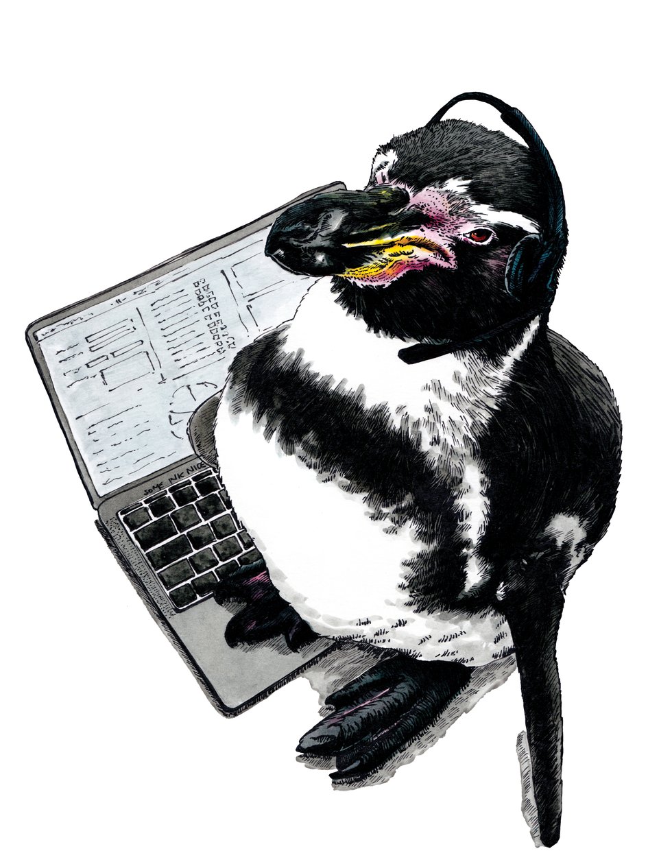 New Job Penguin on White, 2020 od Mike Davis