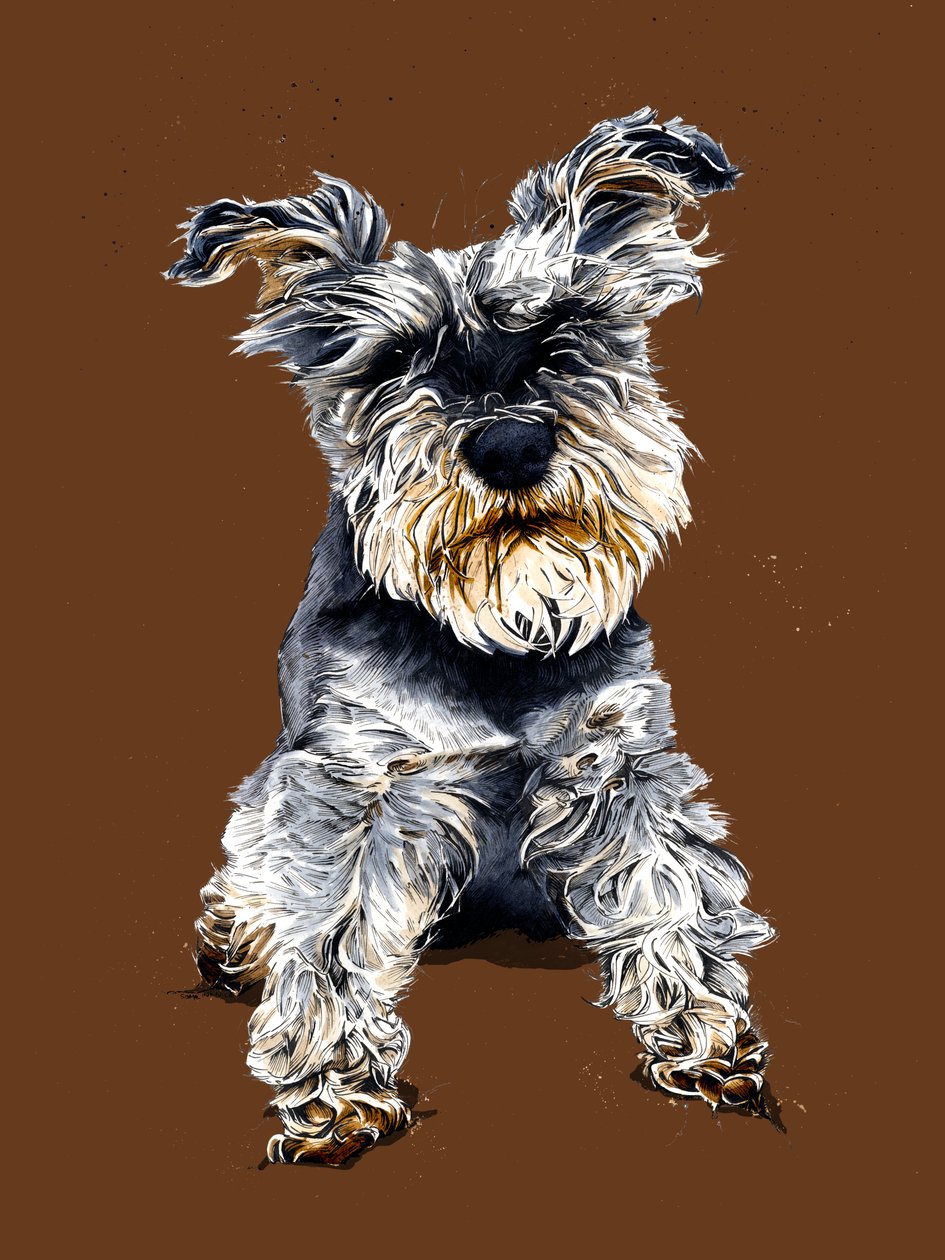 Ollie The Schnauzer na Burnt Orange, 2020 od Mike Davis