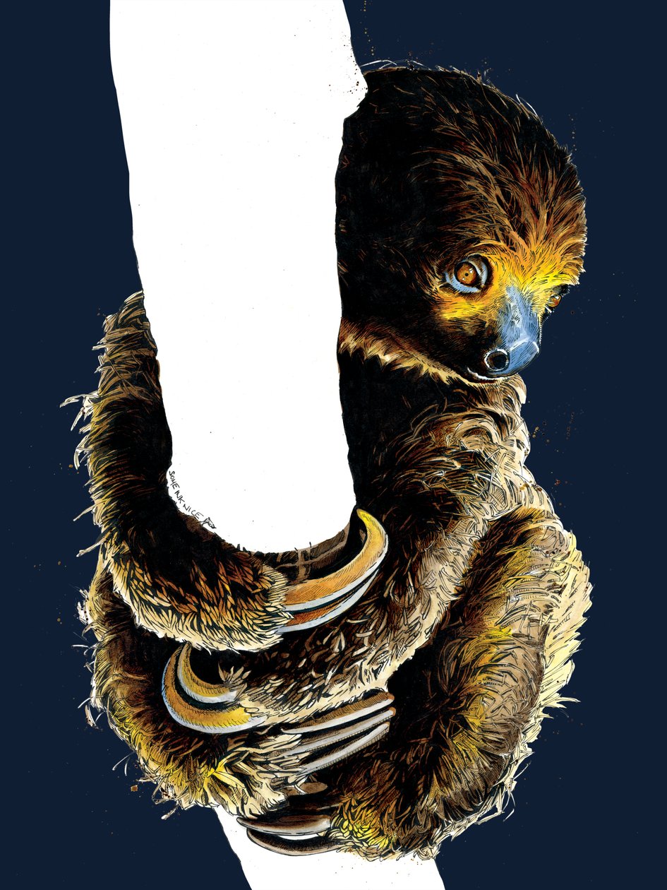Talita The Lenh on Midnight Blue, 2020 od Mike Davis