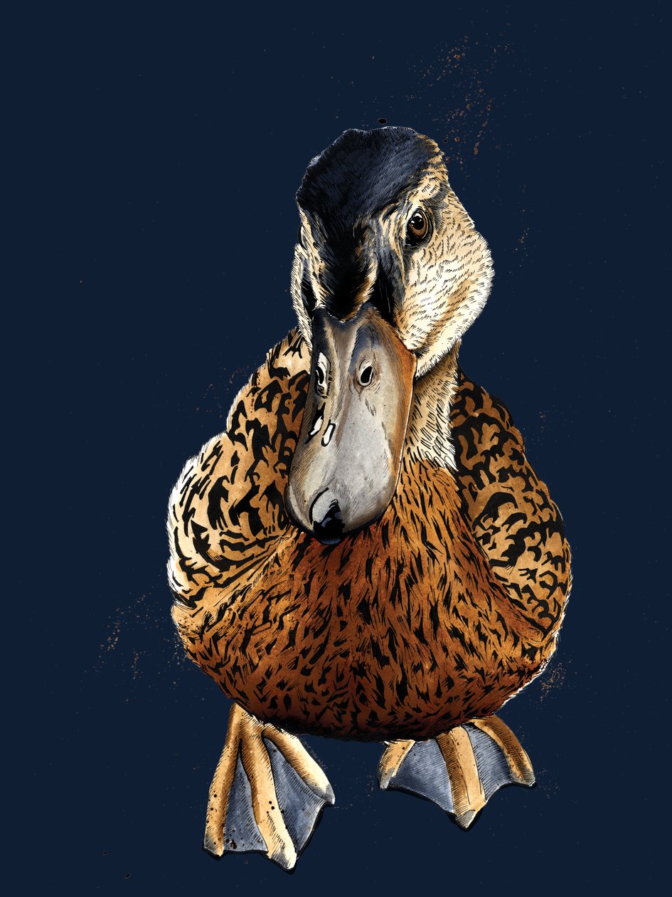 Kachna na půlnoční modři, 2020 od Mike Davis