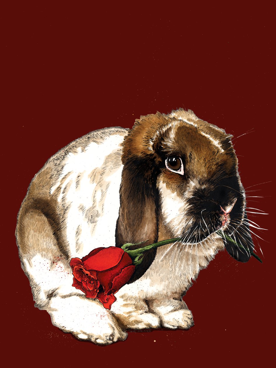 The Love Bunny on Red Oxide, 2020 od Mike Davis
